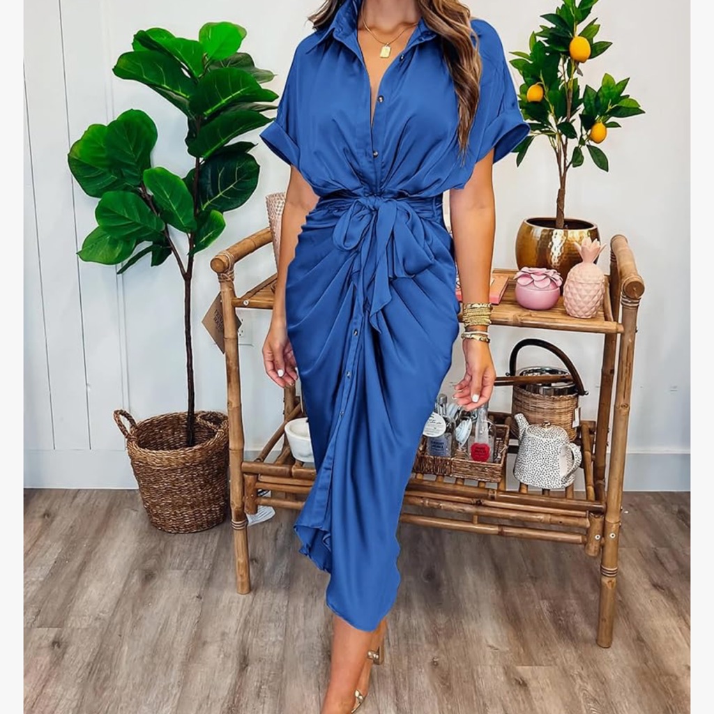 Blue Button-Down Dress